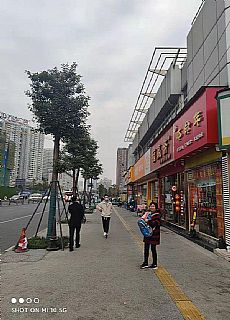 ʮ·ڻر8.5С