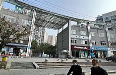 ½Сſڳ͵
