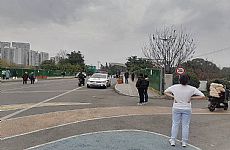 ת˫