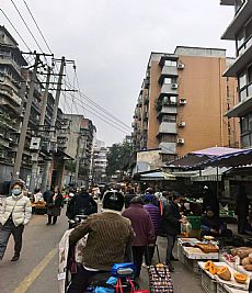 ����ҽԺ�ԱߵĲ�����������