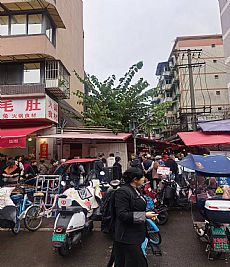 ����ҽԺ�ԱߵĲ�����������