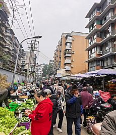 С���ſ�  ������ǲ��г�