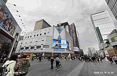 ����·ת�Ǹ߻ر��̲��̼���